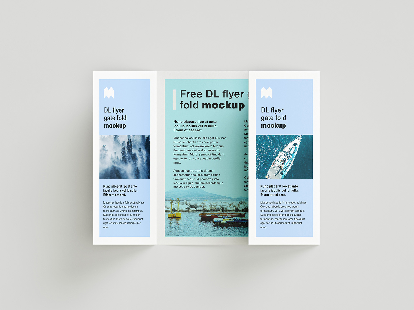 DL Gate Fold Brochure