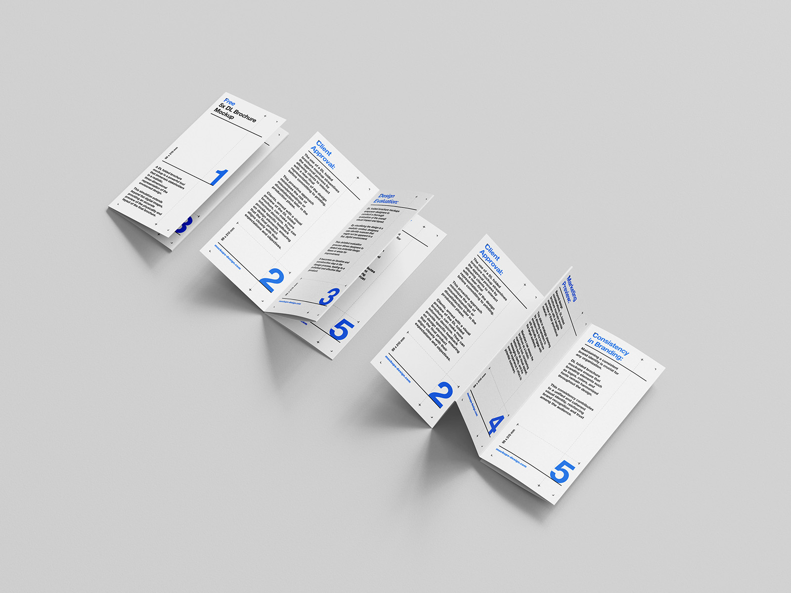 5-Panel Folded Accordion Brochure